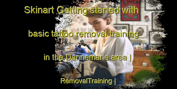 Skinart Getting started with basic tattoo removal training in the Dannemarie area | RemovalTraining | RemovalClasses | SkinartTraining-France
